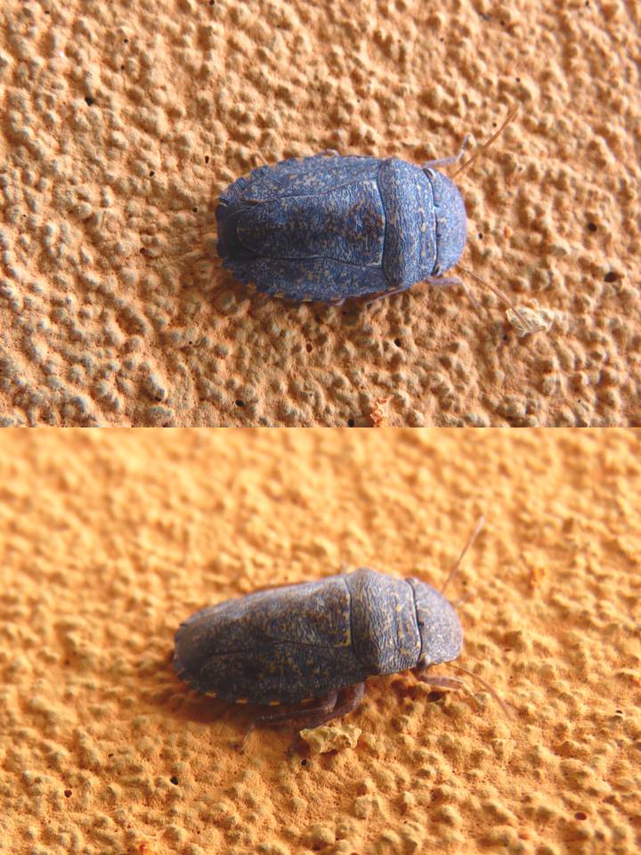 FIGURE 2 FIGURE 2